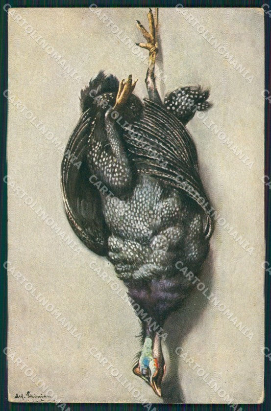 Hunting Caccia Numida Meleagris Faraona postcard cartolina KS6174 – fronte