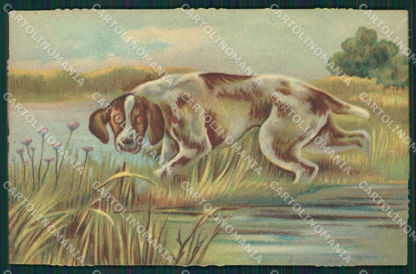 Artist Norfini Sporting dog Hunting Caccia postcard cartolina KS6178 – fronte