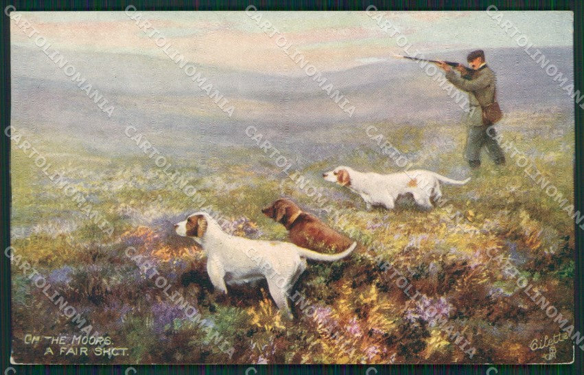 Sporting dog Hunting Caccia Raphael Tuck postcard cartolina KS6189 – fronte