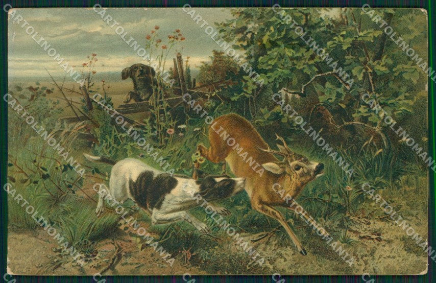 Artist Maffei Sporting dog Hunting Caccia Stengel postcard cartolina KS6190 – fronte