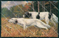 Sporting Setter dog Hunting Caccia postcard cartolina KS6191 – fronte