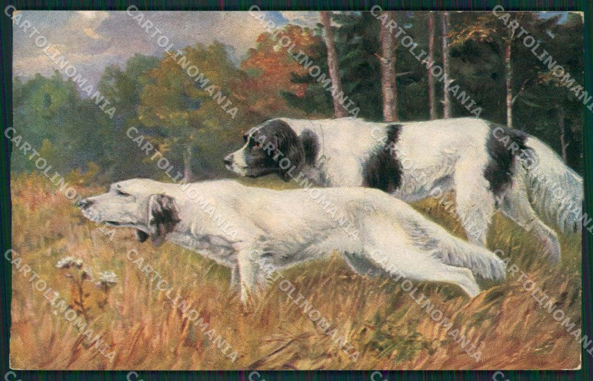 Sporting Setter dog Hunting Caccia postcard cartolina KS6191 – fronte