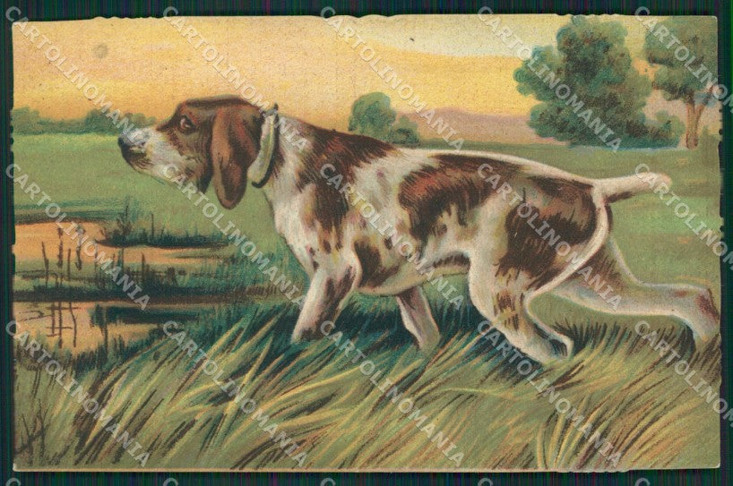 Artist Norfini Sporting Spinone dog Hunting Caccia postcard cartolina KS6193 – fronte