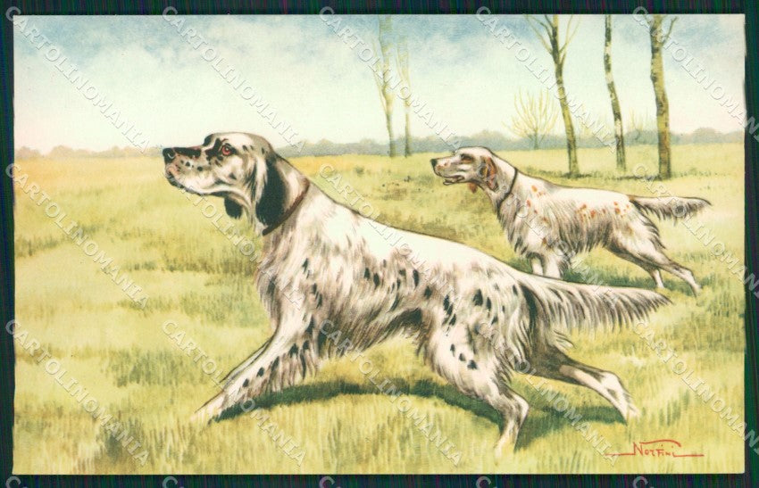 Artist Norfini Setter Sporting dog Hunting Caccia postcard cartolina KS6194 – fronte