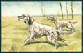 Artist Norfini Setter Sporting dog Hunting Caccia postcard cartolina KS6194 – fronte