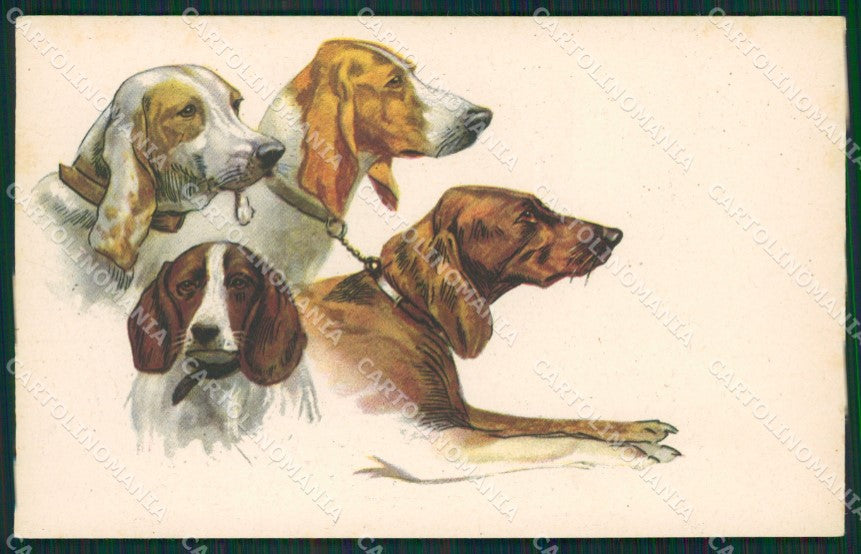 Sporting dog Hunting Segugio Caccia Degami postcard cartolina KS6195 – fronte