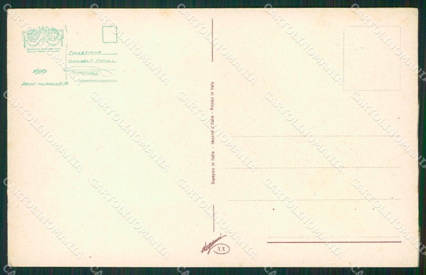 Sporting dog Hunting Segugio Caccia Degami postcard cartolina KS6195 – retro