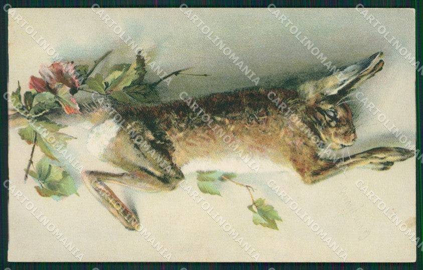 Hunting Rabbit Are Caccia postcard cartolina KS6197 – fronte