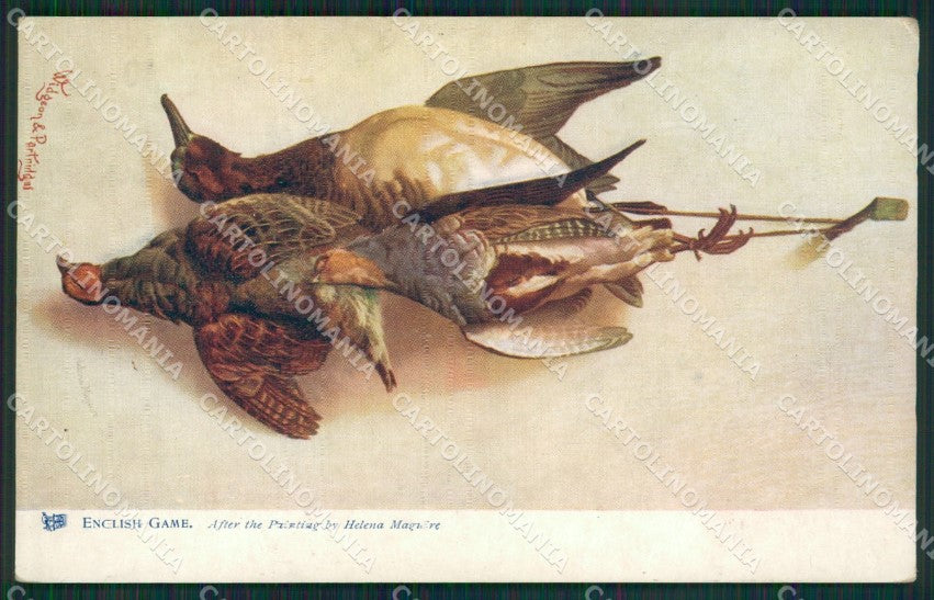 Artist Maguire Hunting Birds Caccia Raphael Tuck 1745 postcard cartolina KS6199 – fronte