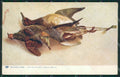 Artist Maguire Hunting Birds Caccia Raphael Tuck 1745 postcard cartolina KS6199 – fronte