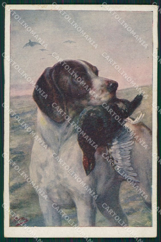 Artist Burton Sporting Partridge Pernice dog Hunting Caccia postcard KS6209 – fronte
