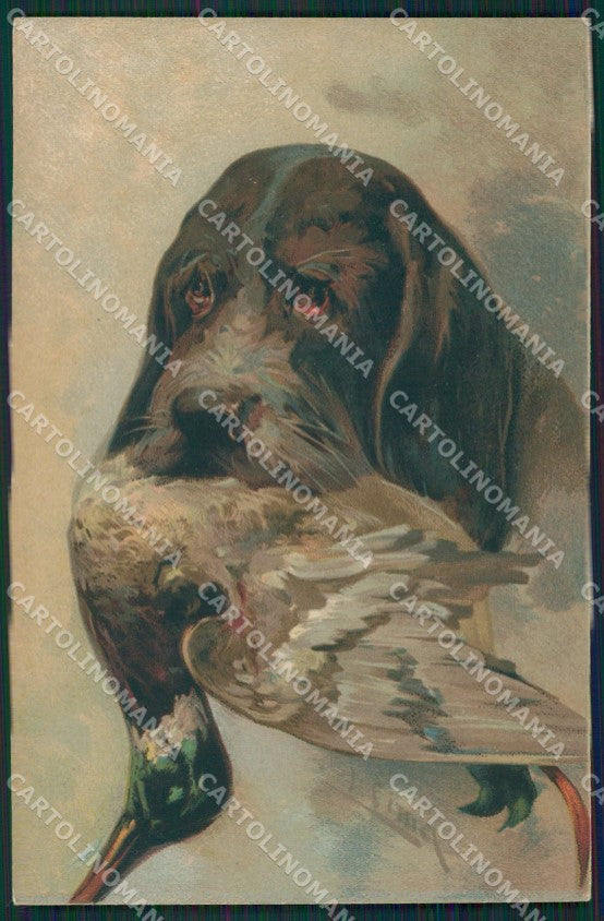 Sporting dog Hunting Spinone Duck Caccia postcard cartolina KS6216 – fronte