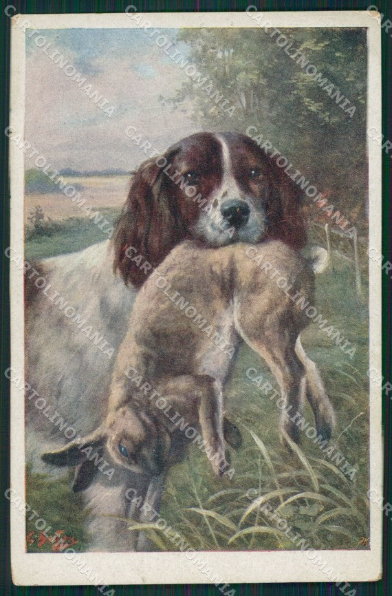 Artist Burton Are Sporting Breton dog Hunting Caccia BKWI postcard KS6219 – fronte