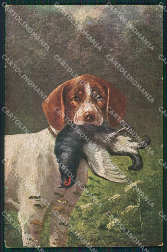 Artsit Muller Sporting Segugio dog Hunting Gallo Cedrone Grouse Caccia pc KS6231 – fronte