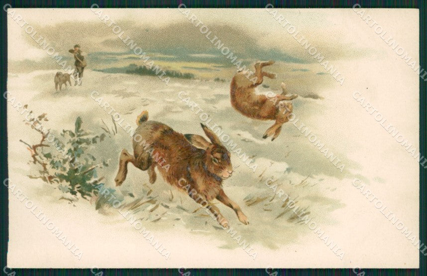 Sporting dog Hunting Are Caccia postcard cartolina KS6245 – fronte