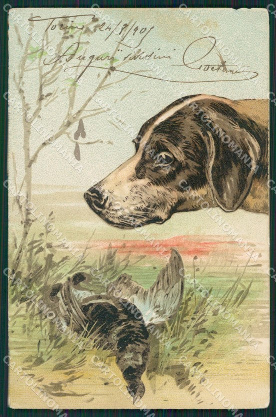 Sporting dog Partridge Pernice Hunting Caccia PFB ABRADED postcard KS6250 – fronte