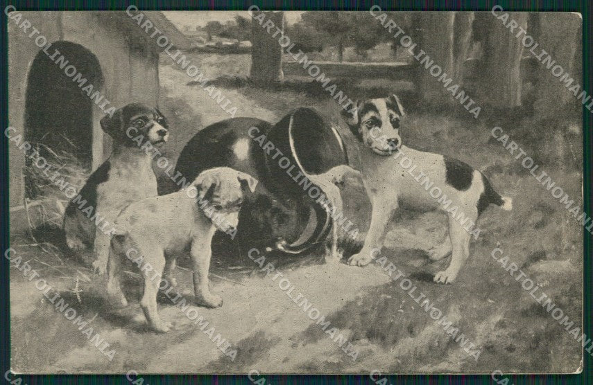 Puppies dog postcard cartolina KS6264 – fronte