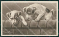 Artist Minnie Keene dog postcard cartolina KS6265 – fronte