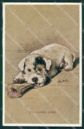 Mac Lucy Dawson Sealyham Terrier dog Valentine postcard cartolina KS6267 – fronte