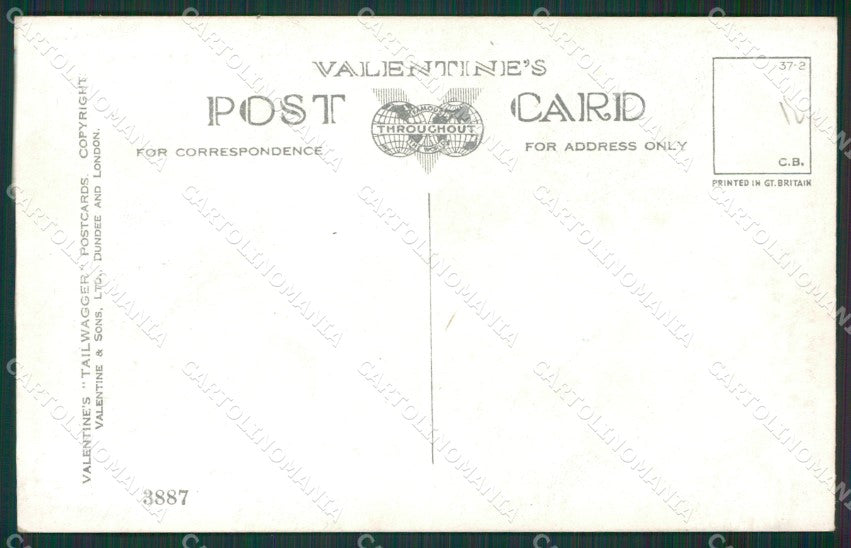 Mac Lucy Dawson Chow Chow dog Valentine postcard cartolina KS6293 – retro