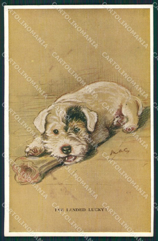 Mac Lucy Dawson Terrier dog Valentine postcard cartolina KS6300 – fronte