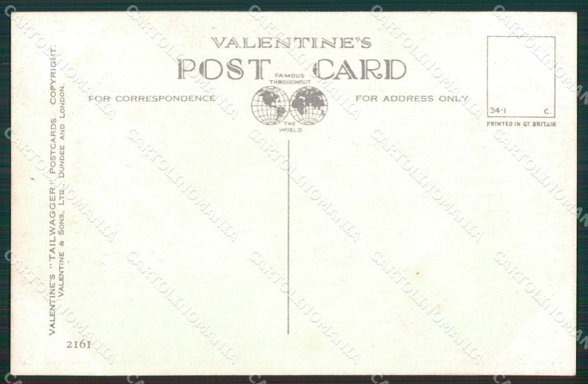 Mac Lucy Dawson Terrier dog Valentine postcard cartolina KS6300 – retro