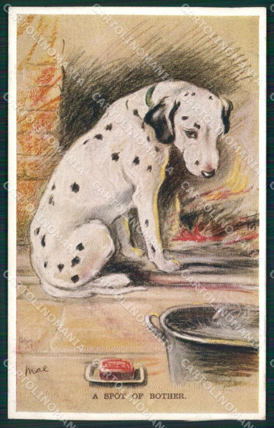 Mac Lucy Dawson Dalmatian dog Valentine postcard cartolina KS6346 – fronte