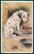 Mac Lucy Dawson Dalmatian dog Valentine postcard cartolina KS6346 – fronte