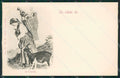 Lecco Como Costumi La Capraia Stengel 6007 cartolina KS7024 – fronte