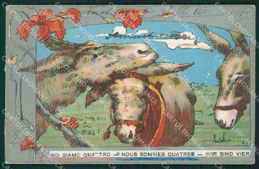Comic Donkey Asino postcard cartolina KS7108 – fronte