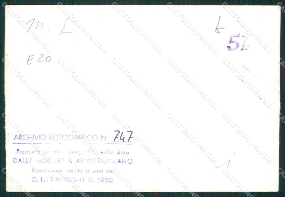 Pavia Mede Viale Alberato Bozza FG foto cartolina KS7730 – retro