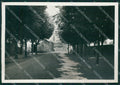 Pavia Mede Via dei Mille Bozza FG foto cartolina KS7747 – fronte
