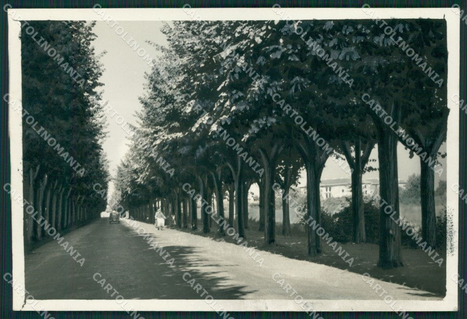 Pavia Mede Viale dei Mille Bozza FG foto cartolina KS7759 – fronte