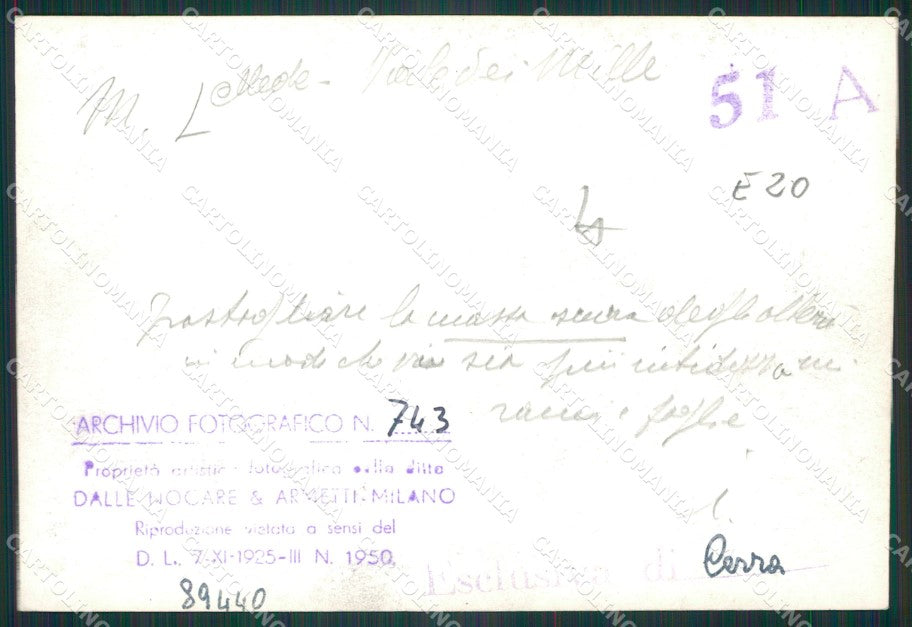 Pavia Mede Viale dei Mille Bozza FG foto cartolina KS7759 – retro