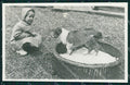 Royalty Netherlands Holland Prinses Marijke Christina RPPC postcard KS9596 – fronte