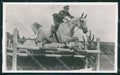Royalty Netherlands Holland Bernhard Van Lippe Biesterfeld RPPC postcard KS9603 – fronte