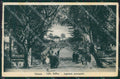 Catania Città Bellini MACCHIA cartolina KVM0430 – fronte