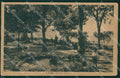 Frosinone Paliano cartolina KVM0869 – fronte