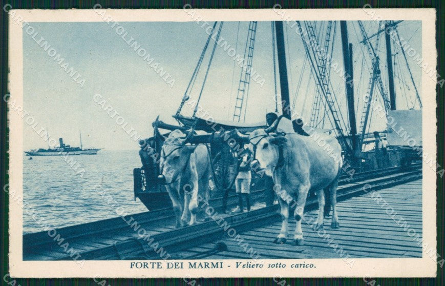 Lucca Forte dei Marmi Buoi cartolina KVM1029 – fronte