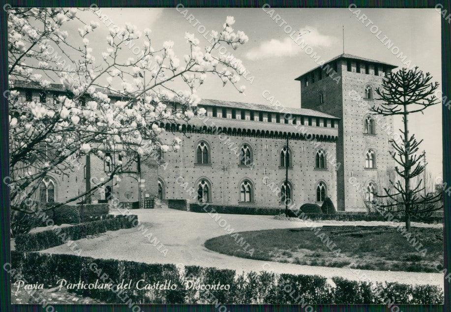 Pavia Città FG Foto cartolina KVM1340 – fronte