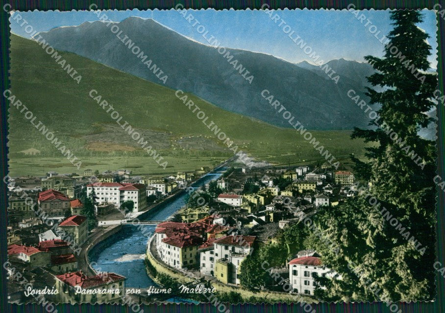Sondrio Città FG Foto cartolina KVM1398 – fronte