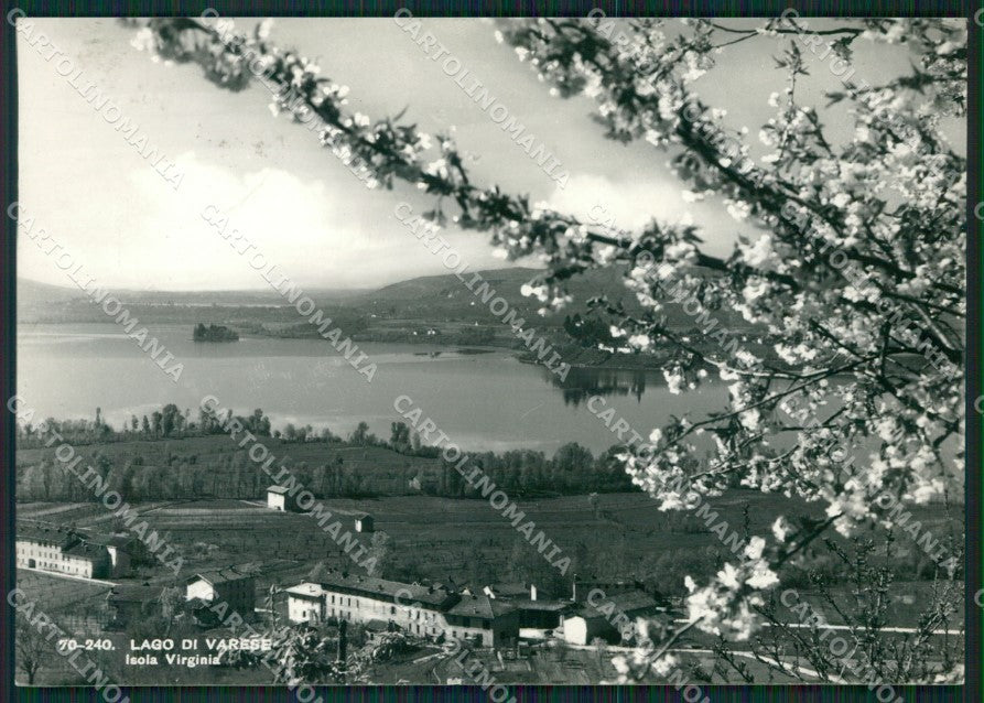 Varese Lago di Isola Virginia FG Foto cartolina KVM1416 – fronte