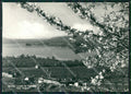 Varese Lago di Isola Virginia FG Foto cartolina KVM1416 – fronte
