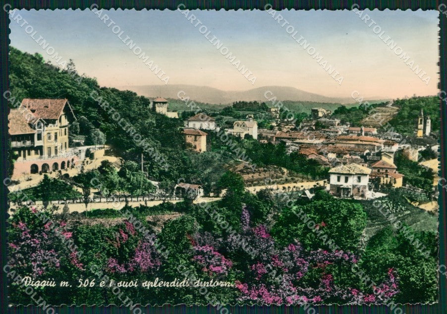 Varese Viggiù FG Foto cartolina KVM1427 – fronte
