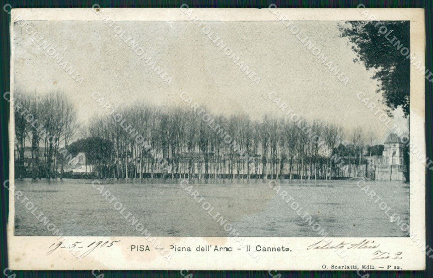 Pisa Città MACCHIA cartolina KV1468 – fronte