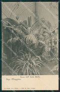 Verbania Stresa Isola Bella cartolina KV1996 – fronte