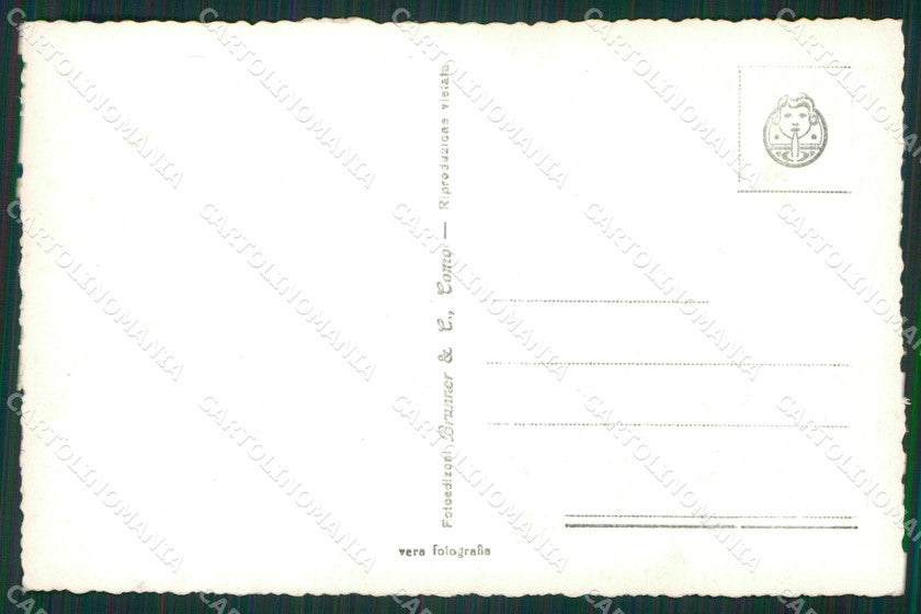 Genova Rapallo Foto cartolina KV2199 – retro