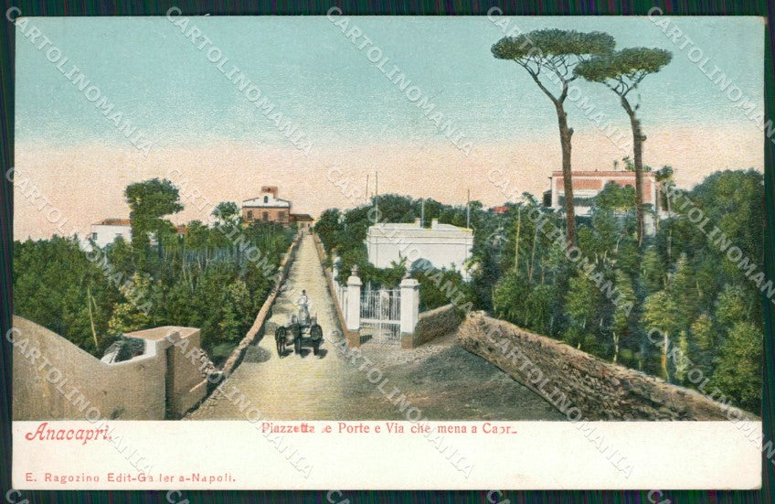 Napoli Capri Anacapri cartolina KV2283 – fronte