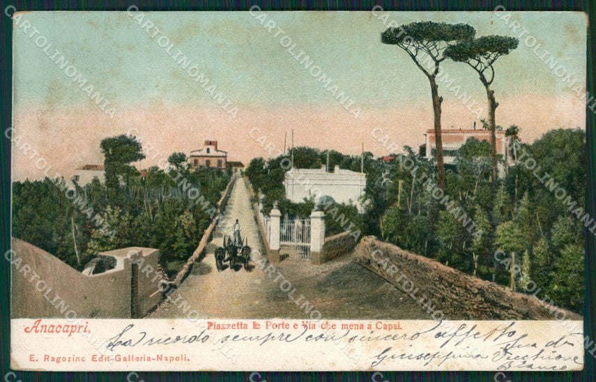 Napoli Capri Anacapri cartolina KV2415 – fronte