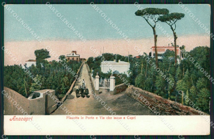 Napoli Capri Anacapri cartolina KV2424 – fronte